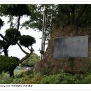 제주 납읍리 난대림 이미지