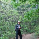 090502 청계산-부용산-하계산 이미지