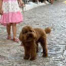 태영주유소 | [튀르키예 터키 2주 자유여행] 4~6일차 휴양지 카쉬 여행 / 카푸타쉬 해변 / 돌무쉬 버스 시간표 / 해변...