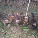 현내농장 이미지