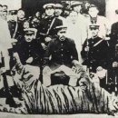 만 마리의 호랑이 이미지