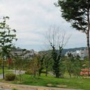 매송체육공원 축구장 이미지