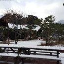 심스캐빈 이미지