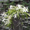 만선을 기원하며 2 이미지