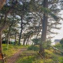 시소 민박 이미지