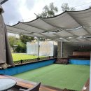 행복팬션 | [포천] 비 오는 날에도 행복한 강아지들의 천국, '콩알펜션' 숙박 후기