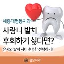 세종대평동치과 | 사랑니 발치 후회하기 싫다면? 유지와 발치 사이 현명한 선택하기!