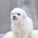 아이러브펫동물병원 이미지