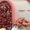 국제전시장(진달래공원) | 고양국제꽃박람회 데이트🌷 일산호수공원에서 즐긴 봄나들이 후기