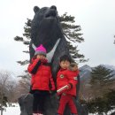캠핑노리 이미지