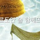 앨리스42