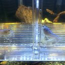 건호환경 이미지