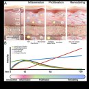 벨피부과의원 | 선정릉역 피부과, 리프팅 ‘이 점’ 간과하면 후회합니다(복수면허)