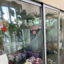 럭키꽃식물원