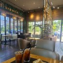 그린 브라우니 이미지