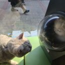 우솔동물병원 이미지