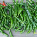 시흥1동주민센터 이미지