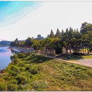 공항교강변공원 이미지