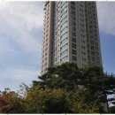 갤럭시부동산중개 이미지