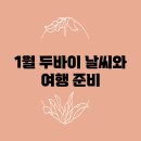 1월 두바이 날씨와 여행 준비