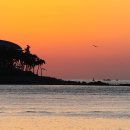 누리과일 이미지