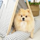 개과천선 이미지