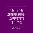 하하투어 이미지