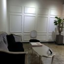 비비드블랑 이미지