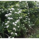 양북중학교 이미지