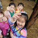 동성럭키유치원 이미지