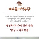 여우골농장 티스토리