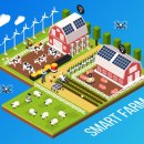 태양축사 이미지