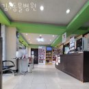 S동물병원 | 고양 정발산동 동물병원 김s동물병원 위치 오는길 후기