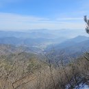 비슬농장 이미지