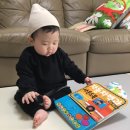 포쉬밥