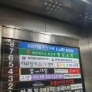 롤리키즈광명