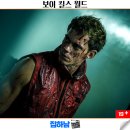 월드정보