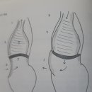 하타요가 이미지