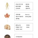 홍삼이야기 네이버블로그