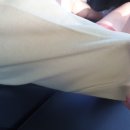 와우어패럴