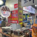 모녀가리비 이미지