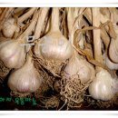 한지축사 이미지