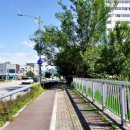 대마산들공원 이미지