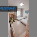 어;달달하리