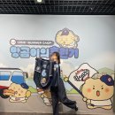 부창빌딩 | 두린이의 망글곰 팝업 후기(주차/이벤트/마킹/재고현황)