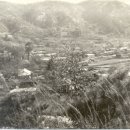 홍주약국 이미지