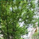 신내진로 이미지