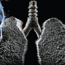 토마토2 이미지