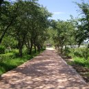 고택약수터 이미지