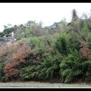 담양 소산정 이미지